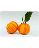Citrus aurantium 'Fasciata' XXL - Sour Orange, Seville-Orange