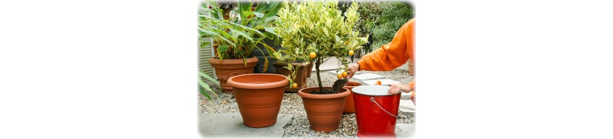 Plant Care Products: Fertilizer, Soil, Pots, Books and Gift Coupons | FLORA TOSKANA