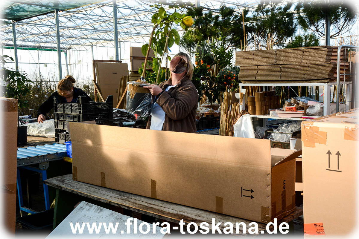 Betrieb - Flora Toskana