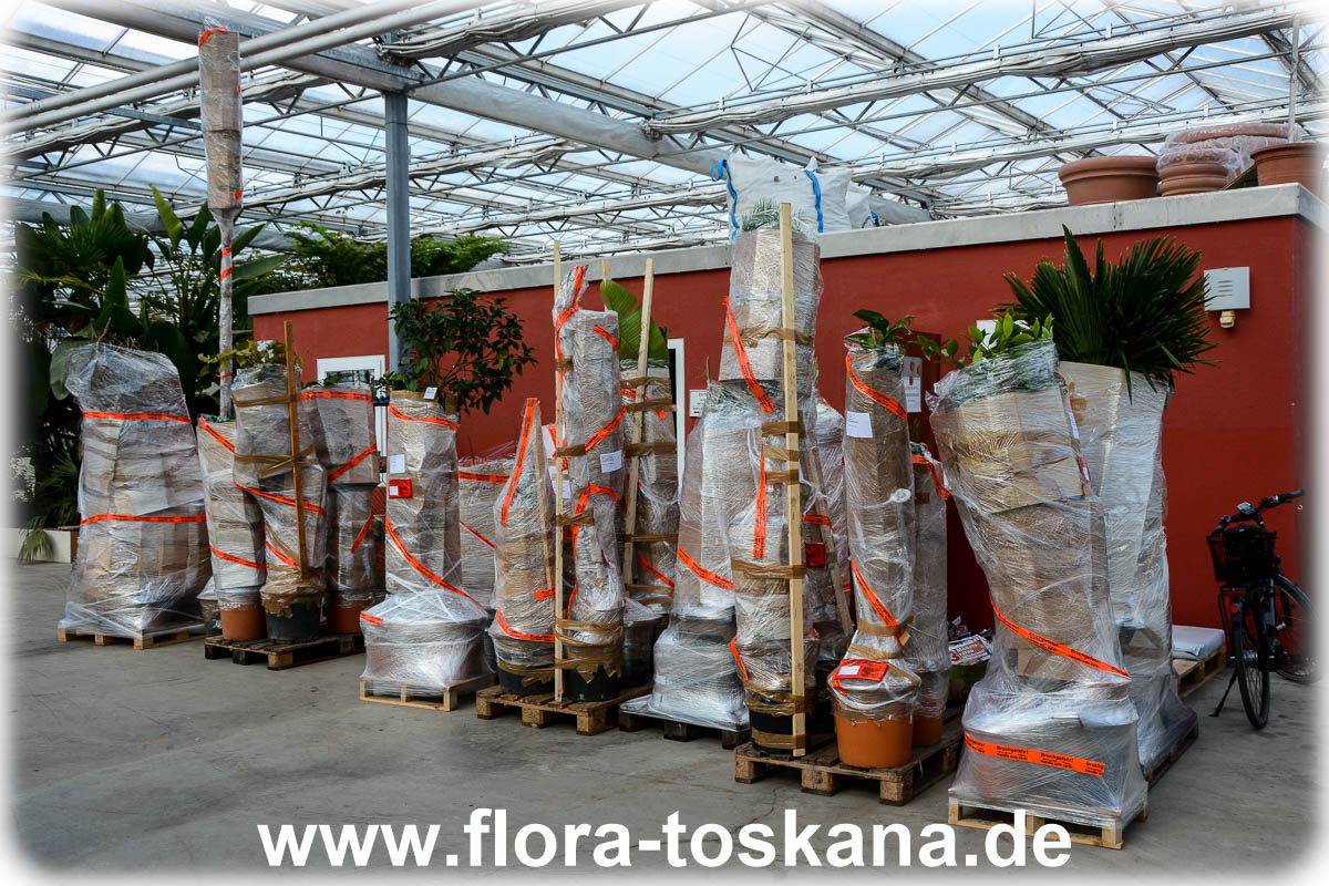 Betrieb - Flora Toskana - 20050705-2.jpg