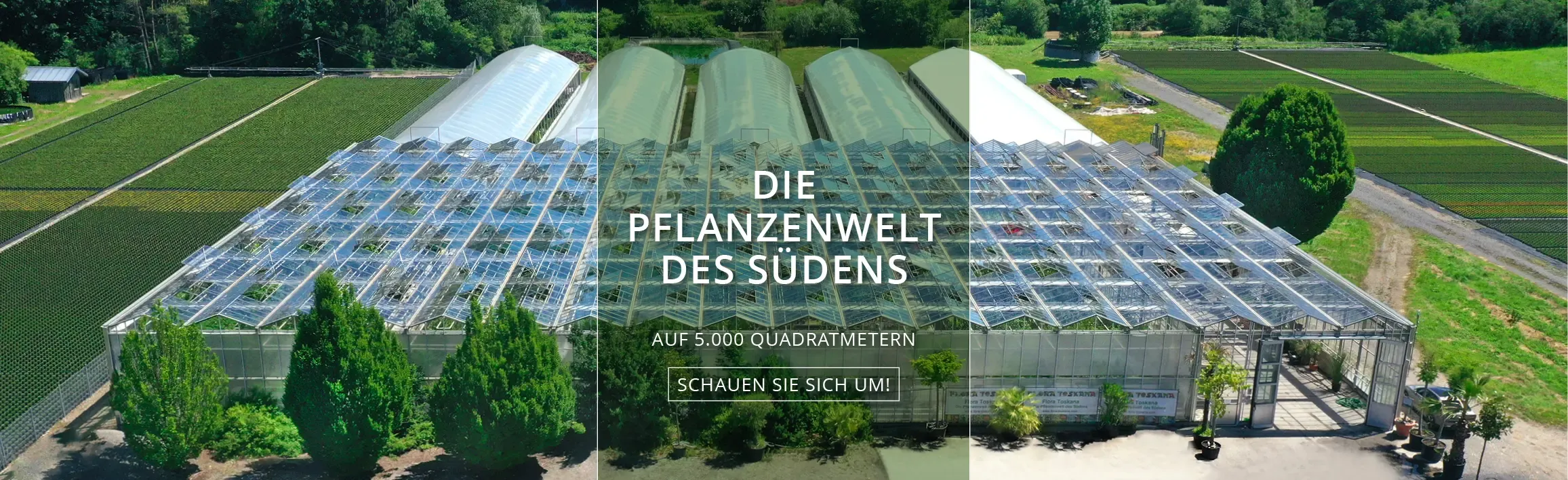 Gewächshaus von Flora Toskana